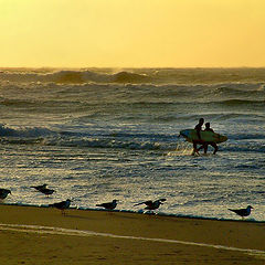 фото "Walking on the beach"