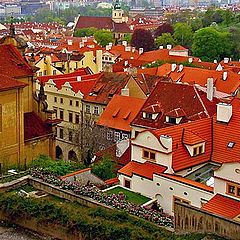 photo "Red roofs"