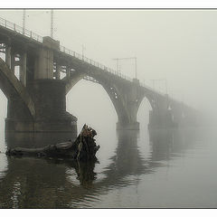 photo "morning foggy #8"