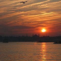 photo "Silhouette and Sunset"