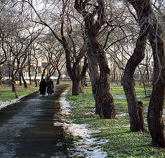 photo "The Walk in a park."