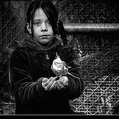 фото "Girl with bird"