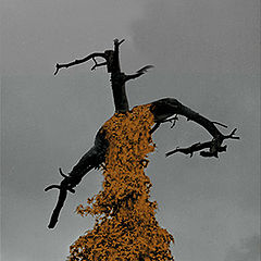 photo "Autumn"
