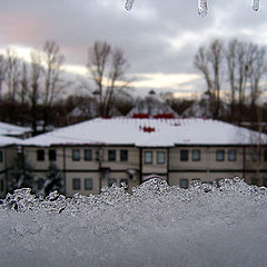 photo "in winter`s jaws"