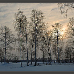 photo "Light of December"