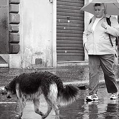 photo "It`s raining like a hell..."