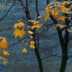 photo "Вот такая у нас осень :)"