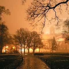 photo "In the winter foggy evening in Petersburg"