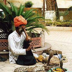 photo "The snake charmer"