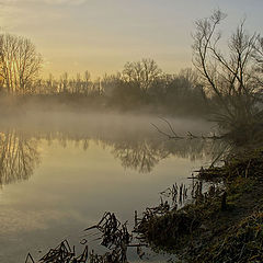 photo "Will dream summer days..."