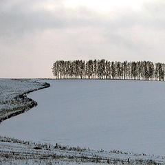 фото "Border"