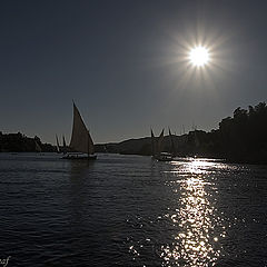 photo "Sailing on the Nile 3"
