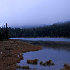 фото "Late Autumn Morning"