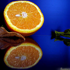 photo "The Orange."