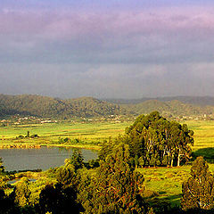 photo "Morning in Abkhazia"