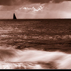 photo "Sailing in strong waters"