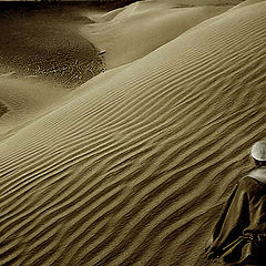 photo "Meditation in Desert"