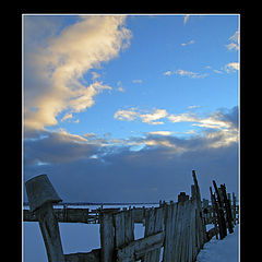 photo "Old pail"