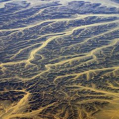 photo "Blood system of desert."