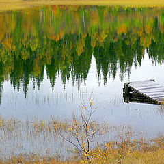 фото "autumn colors refections"