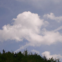 photo "~cloud~"