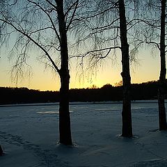 photo "Cerda de Jardin de Kuskovo..."