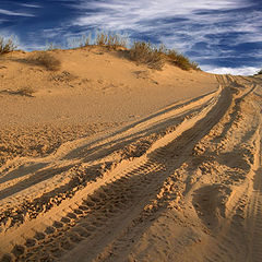 photo "Dune"