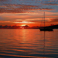 фото "Orange Day"