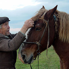 photo "Kind picture with a horse and the man"