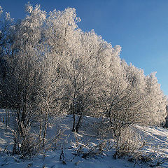 фото "Иней"