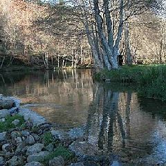 фото "The river"