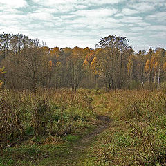 photo "Way to nowhere"