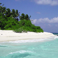 фото "White Sands"