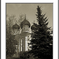 photo "Cathedral"