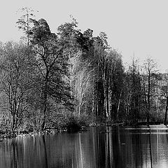 photo "Agua y Bosque..."