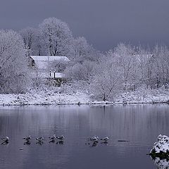 фото "холод"