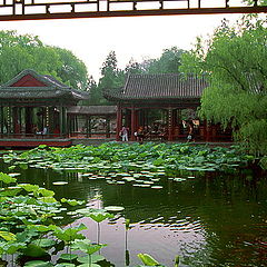 photo "Summer Palace"