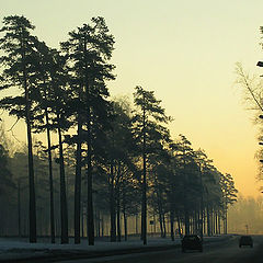 photo "Spring. Morning."