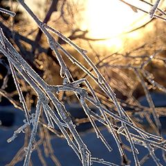 фото "Холодное утро. Понедельник  $-("