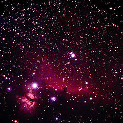 фото "Horseheadnebulae region"