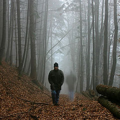 фото "with my shadow in the wood"