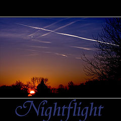 фото "Nightflight"