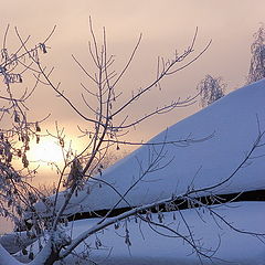 photo "Frosty morning"