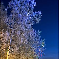 photo "Somehow in the frosty evening..."