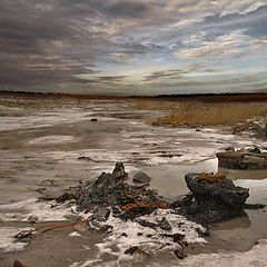 photo "Roadside archeology"