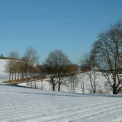 фото "der Winter ist da..."