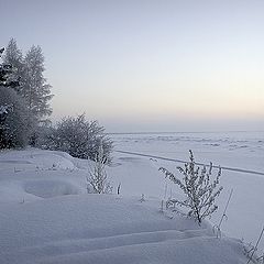 фото "Морозный день"