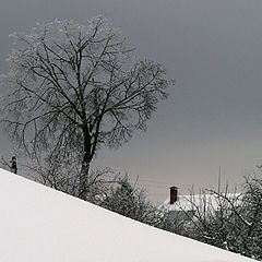 фото "Тоска"