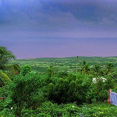 photo "View from our yard"