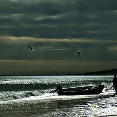 photo "the fisherman #2"